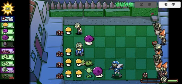 pvzbt2025截图